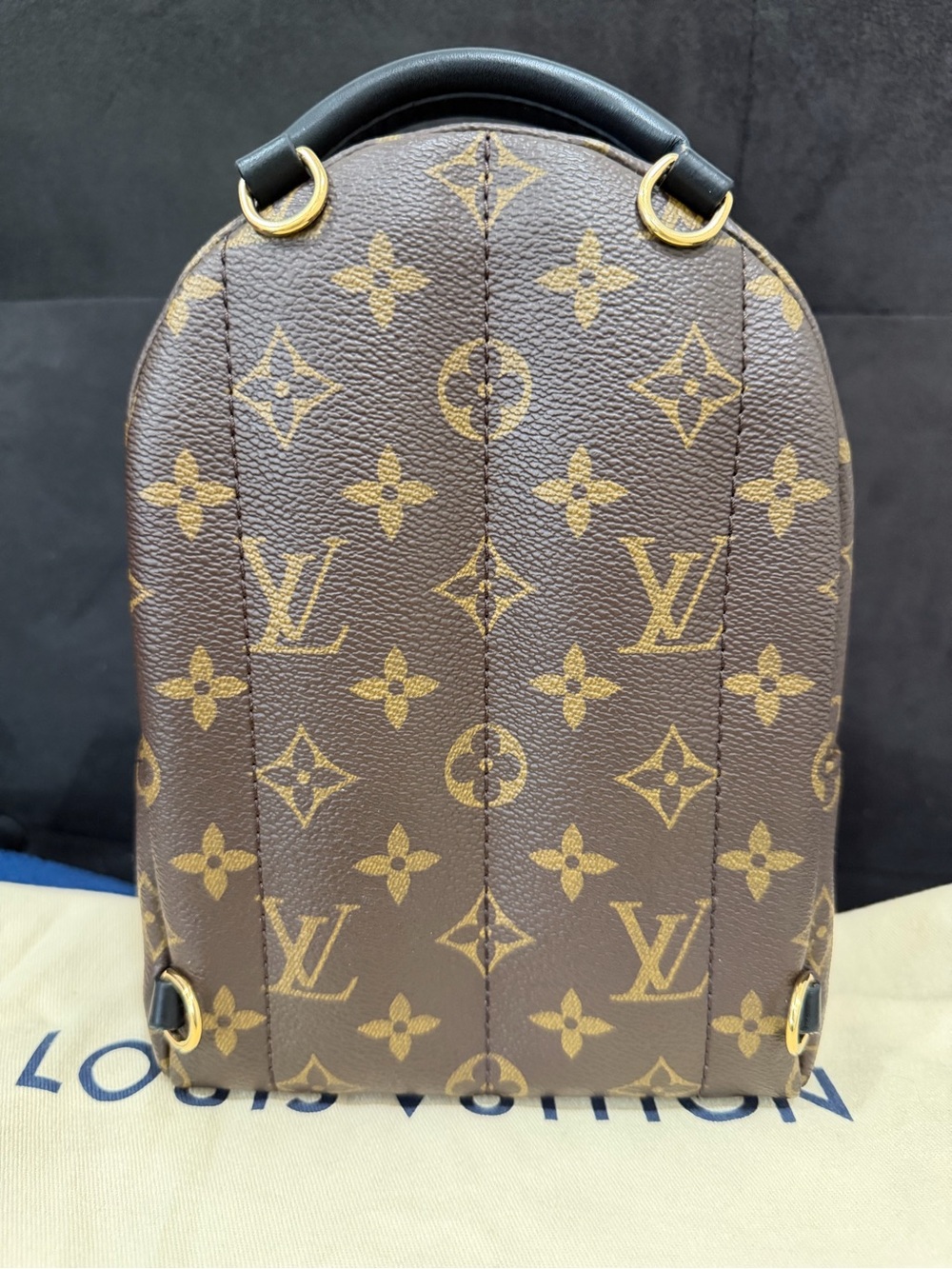 Louis Vuitton Palm Springs Mini Monogram - Picture 7 of 14